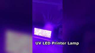 Lâmpada LED UV economizadora de energia de 600 W para impressora de tinta plana UV
